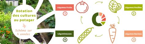 Schéma de rotation des cultures sur 4 ans