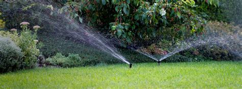 Restrictions d'arrosage des jardins
