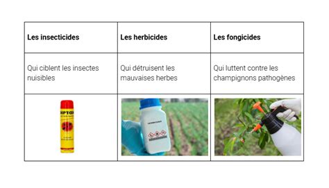différents types d'herbicides et leurs modes d'action