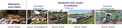Systèmes d'élevage alternatifs