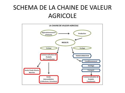Schéma de la chaîne de valeur agricole