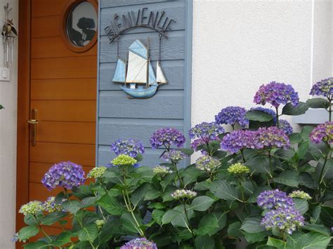 Façade du Gîte Les Hortensias fleuri