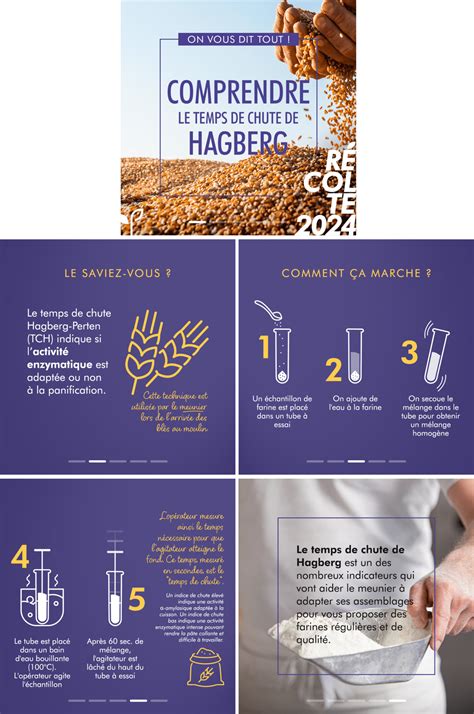 Infographie expliquant le poids spécifique, le taux de protéines et le temps de chute de Hagberg