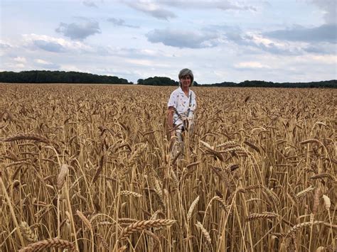 Stéphane Lambert dans son champ de blés anciens