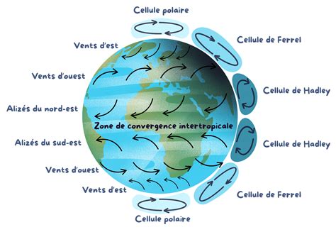 Schéma de la bonne circulation de l'air autour du Photinia