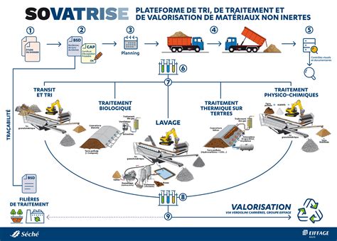 Schéma du processus de lavage et tri des fruits