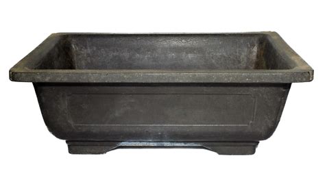 Bonsaï dans un pot en polypropylène