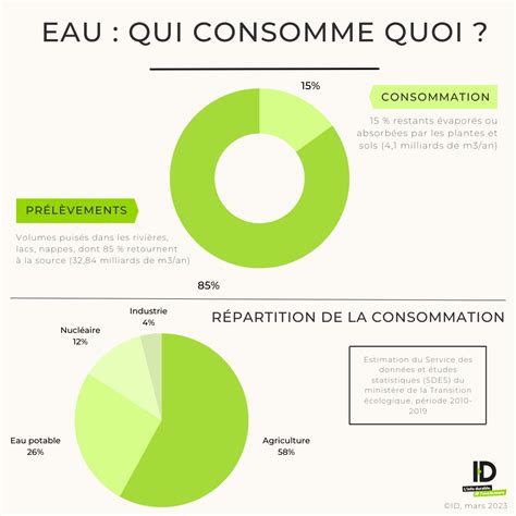 Comparaison de l'utilisation de l'eau par différentes essences forestières