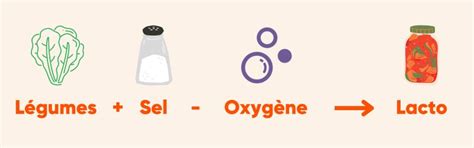 Schéma explicatif de la lacto-fermentation des légumes