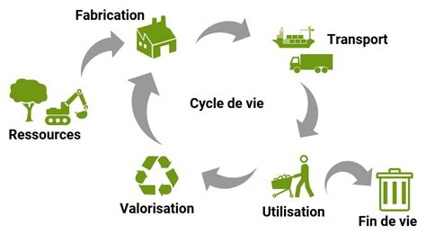 Infographie montrant le cycle de vie durable du bambou et son impact environnemental positif