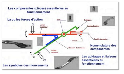 Schéma expliquant les principes de la greffe