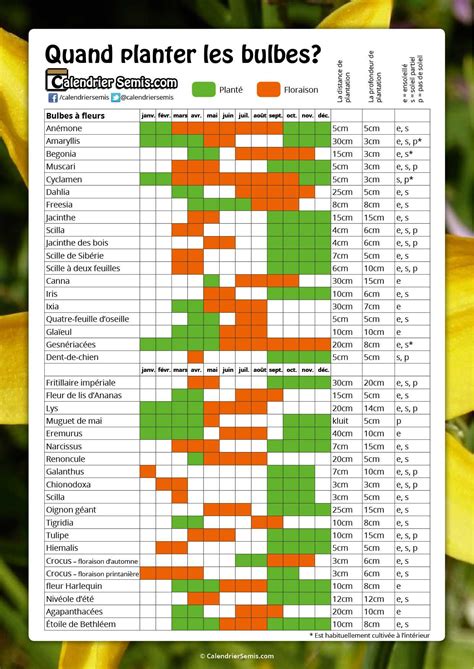 Calendrier de plantation des bulbes de tulipe