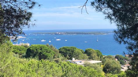 Vue panoramique du parc naturel forestier de la Croix-des-Gardes avec la mer en arrière-plan