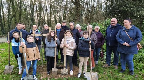 Arbres fruitiers le long d'un chemin communal