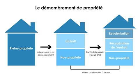Schéma illustrant l'empiètement des branches sur une propriété voisine