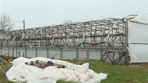 Serres maraîchères détruites par la tempête