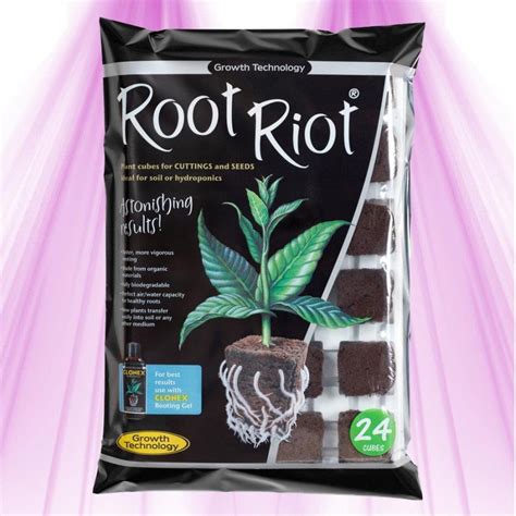 Processus de bouturage avec Root Riot
