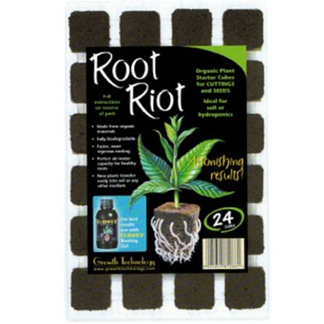 Germination de graines dans un cube Root Riot