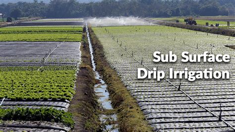subirrigation_system