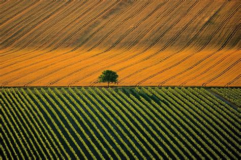 Paysage agricole français