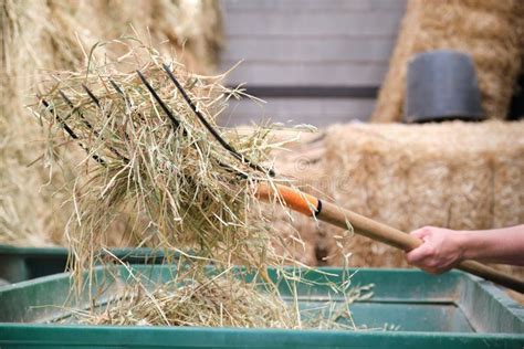 Agriculteur utilisant une brouette pour épandre du compost