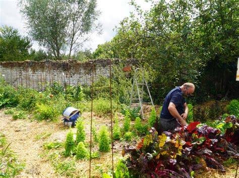 Plan de la ferme de l'Arbre à Poule illustrant la diversité des cultures et élevages