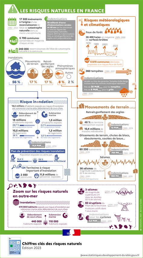 Infographie présentant les différents axes d'activités de Terres Zen
