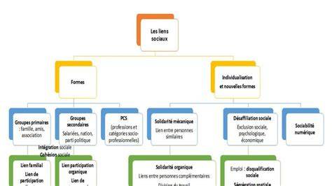 Diagramme illustrant les synergies entre éducation, production et lien social dans les projets permaculturels