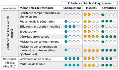 Tableau d'efficacité de la solarisation contre différents types de bioagresseurs (adventices, nématodes, champignons)