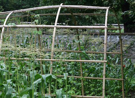 Pergola en noisetier intégrée dans un jardin verdoyant
