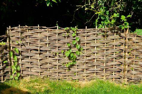 Tonnelle en noisetier avec des branches tressées et arquées