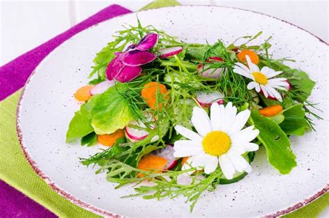 jardin de fleurs comestibles