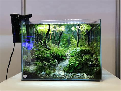 aquarium avec filtre jardinière