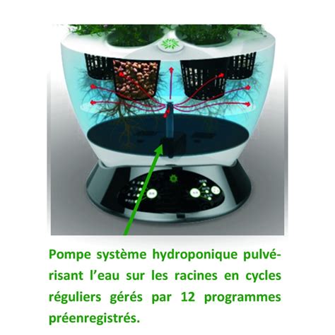schéma filtre jardinière hydroponique