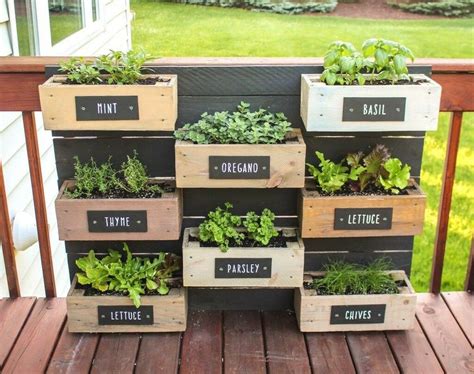 Exemple de mini-potager en jardinière