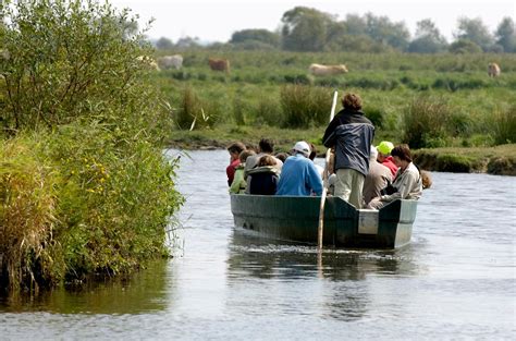 Chaland sur les marais de Brière