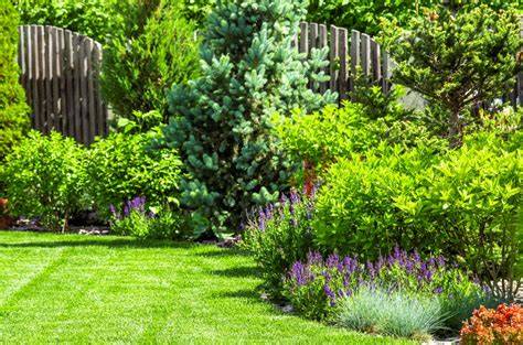 Jardin bien entretenu avec des plantes taillées et une pelouse verdoyante