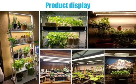 Tableau d'exposition lumineuse pour plantes d'intérieur
