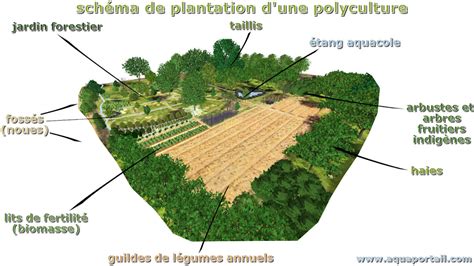 Différents types d'outils agricoles pour la polyculture