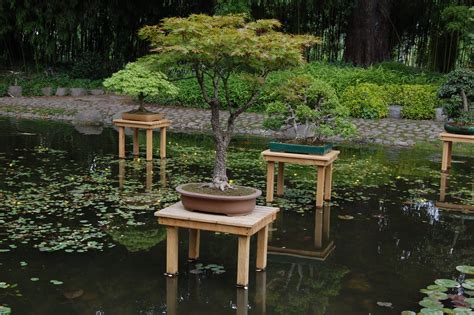 Exposition de bonsaïs dans les jardins Albert-Kahn