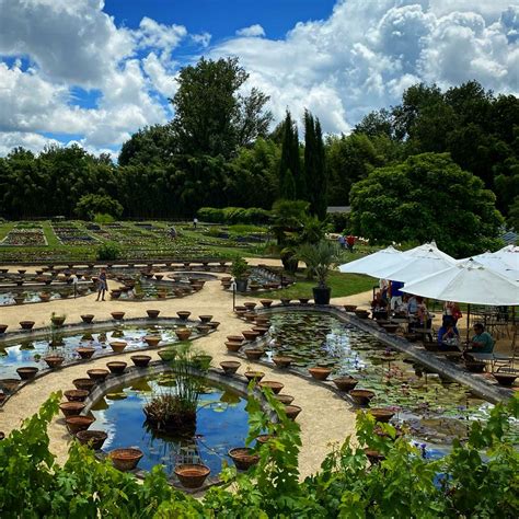 Vue aérienne des jardins de Latour-Marliac avec ses bassins et sa végétation luxuriante