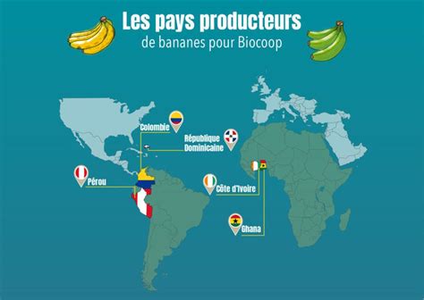Carte mondiale des régions où l'hibiscus est cultivé et consommé
