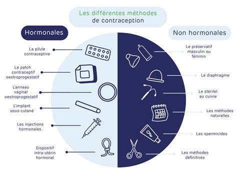 Diagramme des différentes méthodes de désherbage naturel et leurs applications