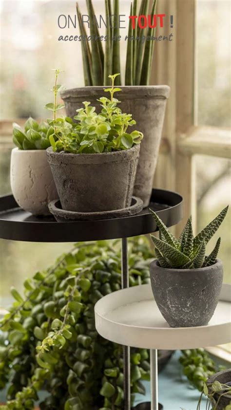 Plantes grasses en pots sur une étagère près d'un lit
