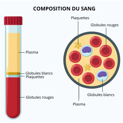 schéma de la composition du BRF