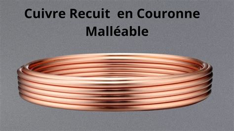 Différents types de fils d'ancrage pour bonsaï (cuivre recuit, acier galvanisé, aluminium)