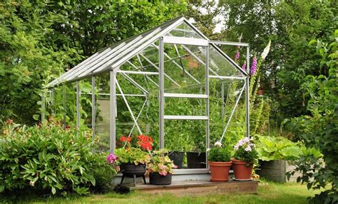Serre de jardin avec divers végétaux à l'intérieur
