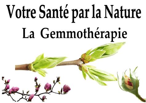 Illustration d'un flacon de gouttes de gemmothérapie entouré de bourgeons de différentes plantes