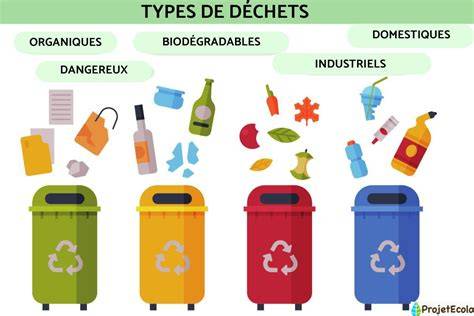 Illustration des différents types de déchets compostables (verts et bruns)