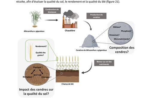 Schéma de transformation des cendres en diamant